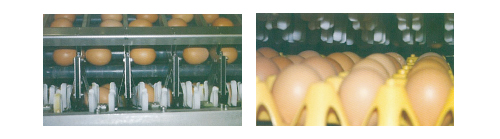 �t�@�[���p�b�J�[